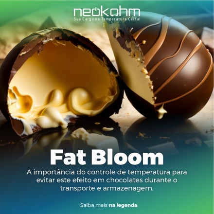 Neokohm | Sua Carga na Temperatura Certa - 